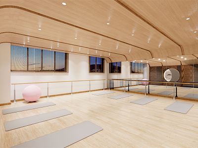 Modern Yoga Room School Space model