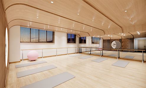 Modern Yoga Room School Space 3d model