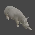 Rhinoceros 3D Model With Standing Pose And Detailed Gray Texture