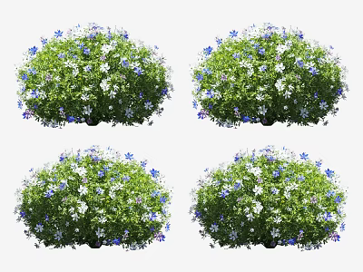 Four Flowering Shrubs With Green Leaves And White And Blue Flowers 3d model