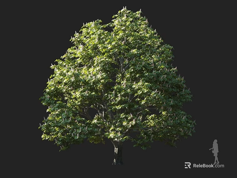 Tall Arbor Tree With Lush Green Sunlit Foliage And Human Figure For Scale 3d model 