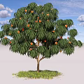 Fruit Bearing Arbor With Green Leaves Under Blue Sky And White Clouds On Grassy Ground
