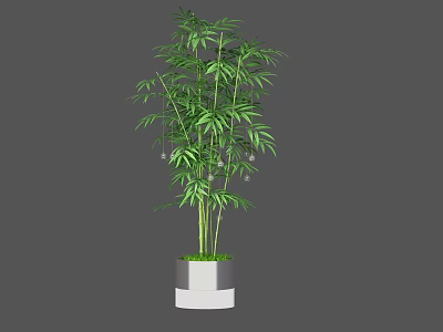 Potted Bamboo Plant With Lush Green Leaves In White Ceramic Pot 3d model