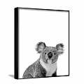 Black and White Koala Animal Painting With Framed Design And White Background