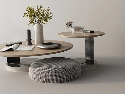 Modern Sofa Coffee Table Set With Round Wooden Table Gray Checkered Ottoman Green Plant Decor 3d model