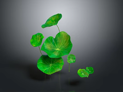 Green Lotus Leaves With Various Sizes And Vibrant Fresh Look On Gray Background 3d model