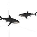Two Lifelike Aquatic Animal Sharks Showcasing Realistic Features and Natural Swimming Postures