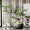 Pine Bonsai Plant In Grey Ceramic Pot With Wooden Lattice Screen And White Deer Ornaments