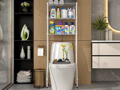 Neat Modern Bathroom Toilet With Metal Storage Rack And Cleaning Supplies 3d model