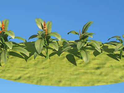 Lush Green Grass With Orange Flowering Plants Broad Leaves Under Blue Sky 3d model