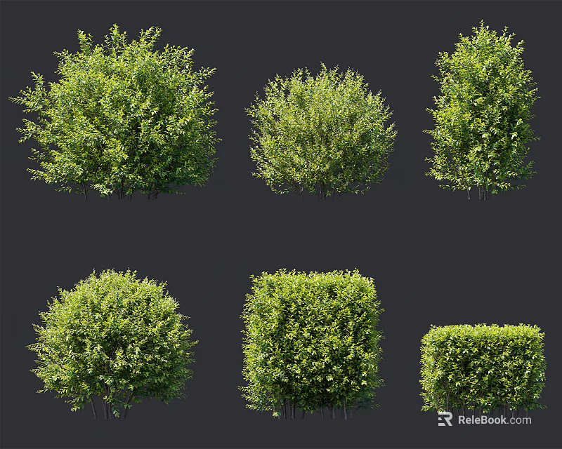Pruned Garden Shrubs In Various Shapes Featuring Lush Green Foliage For Landscaping 3d model 