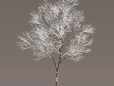 Winter Snow Covered Arbor With Bare Branches And Brown Trunk On Gray Background 3d model