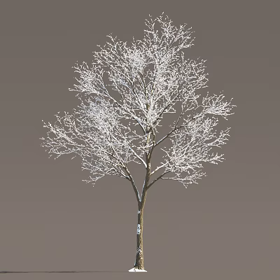 Winter Snow Covered Arbor With Bare Branches And Brown Trunk On Gray Background 3d model