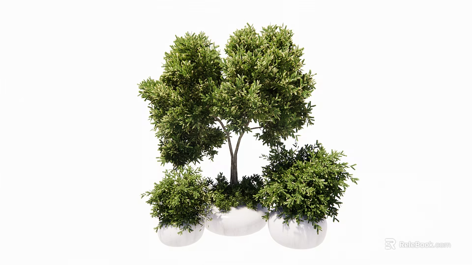 Lush Green Bonsai Potted Plants With Small Tree Shapes And White Pots For Indoor Decor 3d model 