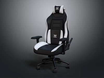 Black And White TT Gaming Chair With High Backrest And Armrests 3d model