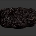 Natural Dried Date Fruit With Dark Wrinkled Surface And Organic Texture 3d model