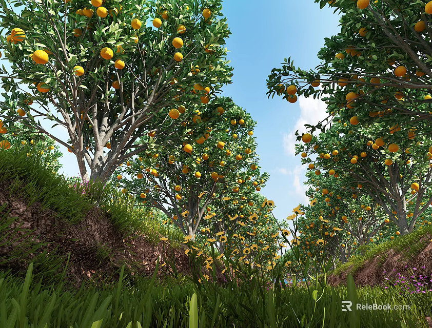 Orchard Tree Pool with Lush Orange Trees Green Grass and Clear Blue Sky 3d model 