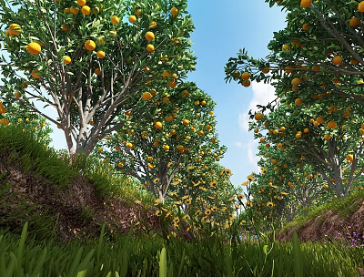 Orchard Tree Pool with Lush Orange Trees Green Grass and Clear Blue Sky 3d model
