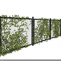 Lush Green Vines Growing On Black Mesh Fences For Garden Decoration
