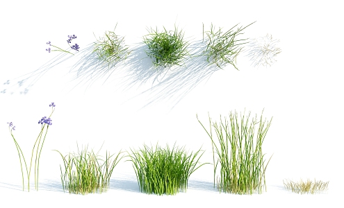 modern grass flowers 3d model