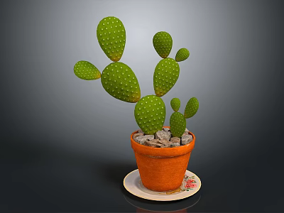 Green Cactus Plant in Orange Pot with Decorative Saucer on Gray Background 3d model