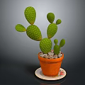 Green Cactus Plant in Orange Pot with Decorative Saucer on Gray Background