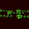 Vibrant Garden Plants Featuring Lush Green Leaves Red Flowers And Yellow Stamens