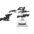 Bonsai Plant in Black Pot on Wooden Stand Against Light Striped Wall