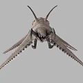 Strange Creature With Multiple Tentacles Single Eye And Unique Head Structure 3d model