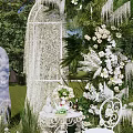 Scenic Outdoor Photo Spot With Arched White Decor Flowers Vines And Green Trees