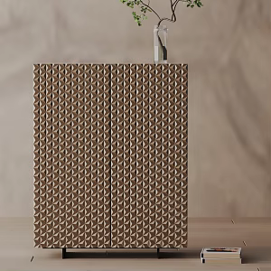 Modern Entrance Cabinet 3d model