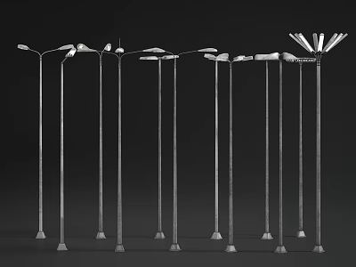 Outdoor Street Lights With Various Designs Metal Material Tall Poles And Multiple Styles 3d model