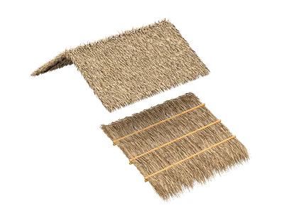 Outdoor Natural Straw Woven Sunshade Two Part Design For Garden And Patio 3d model