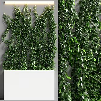 modern plant wall green plant wall 3d model