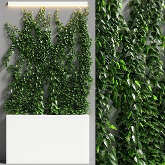 modern plant wall green plant wall 3d model