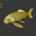 Silver Metallic Fish with Scaly Texture on Smooth Black Surface and Clear Reflection 3d model