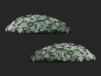 Dense White Flowering Bushes With Round Shape And Lush Green Leaves 3d model