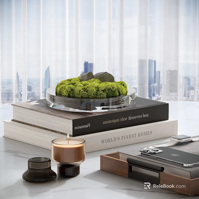 Modern Decorative Ornament Set With Green Moss Glass Tray Stacked Books And Candle For Tabletop 3d model 