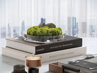 Modern Decorative Ornament Set With Green Moss Glass Tray Stacked Books And Candle For Tabletop 3d model