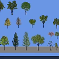 Various Arbor Trees With Diverse Leaf Colors And Shapes For Landscape Design 3d model