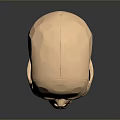 Golden Human Skull Organ Model With Shiny Surface And Detailed Facial Features