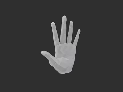 Game Movie Character Low Poly Style 3D Hand Model Design And Digital Art 3d model