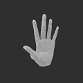 Game Movie Character Low Poly Style 3D Hand Model Design And Digital Art