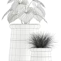Variety of Bonsai Potted Plants With Different Leaf Shapes And Decorative Wooden Cement Fabric Planters