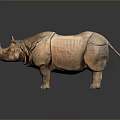 Brown Rhinoceros With Textured Skin Standing On Dark Background With Reflection