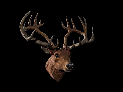 Detailed Deer Head Carving With Large Antlers And Realistic Facial Features 3d model