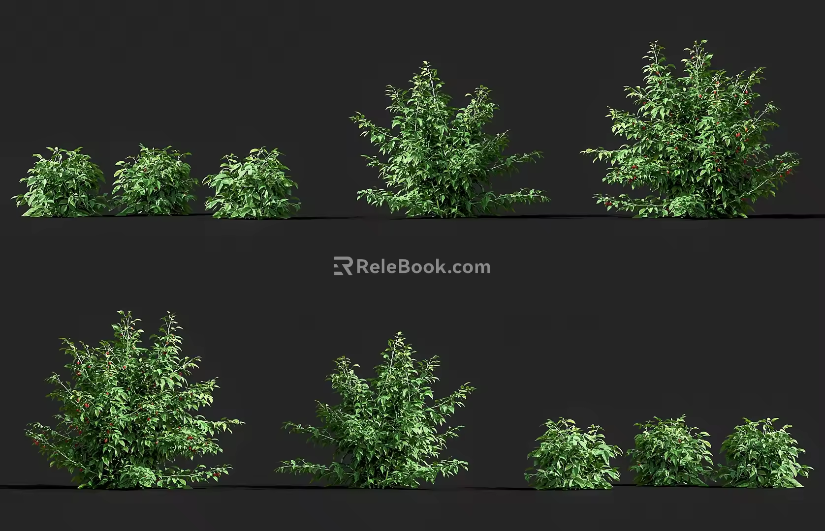 raspberry red raspberry fruit sapling crops fruit tree raspberry plump red raspberry fruit tree shrub fruit 3d model