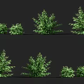 raspberry red raspberry fruit sapling crops fruit tree raspberry plump red raspberry fruit tree shrub fruit 3d model