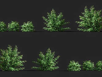 raspberry red raspberry fruit sapling crops fruit tree raspberry plump red raspberry fruit tree shrub fruit 3d model