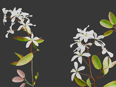 Beautiful Arbor With White Flowers Green And Pink Leaves On Branches 3d model